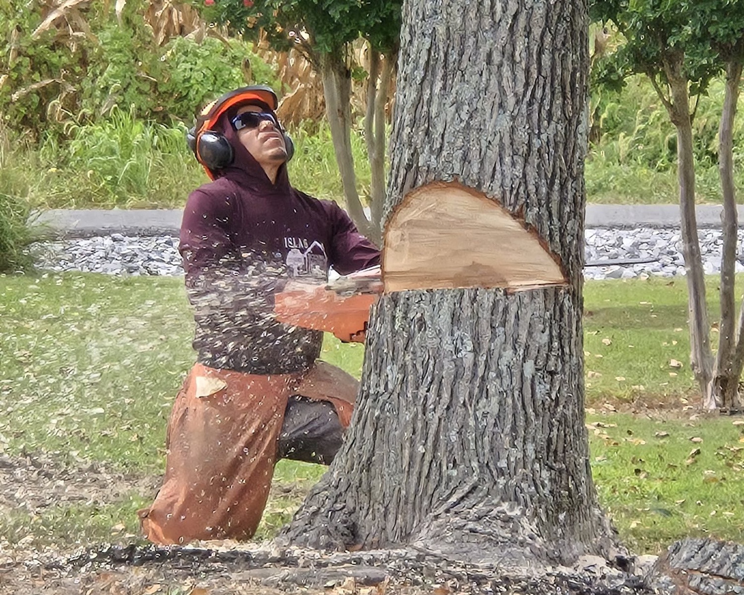 Islas Tree Services LLC