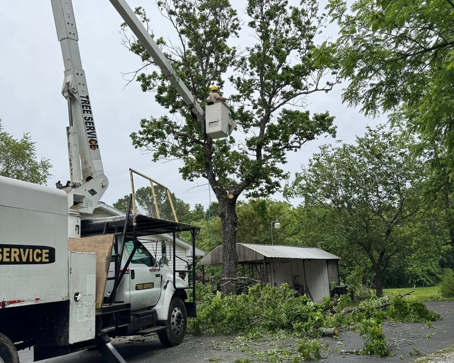 Emergency Tree Services